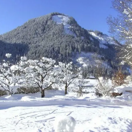 Gaestehaus Hedwig アパート