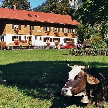 Gaestehaus Hedwig Apartment Bad Hindelang